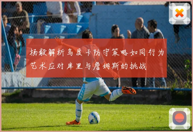 杨毅解析乌度卡防守策略如同行为艺术应对库里与詹姆斯的挑战