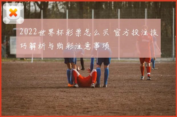 2022世界杯彩票怎么买 官方投注技巧解析与购彩注意事项