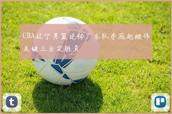 CBA辽宁男篮逆转广东队夺冠赵继伟关键三分定胜负