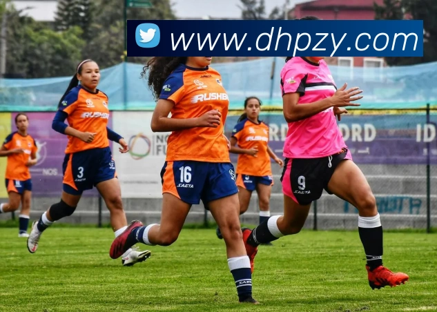 App Interface Preview