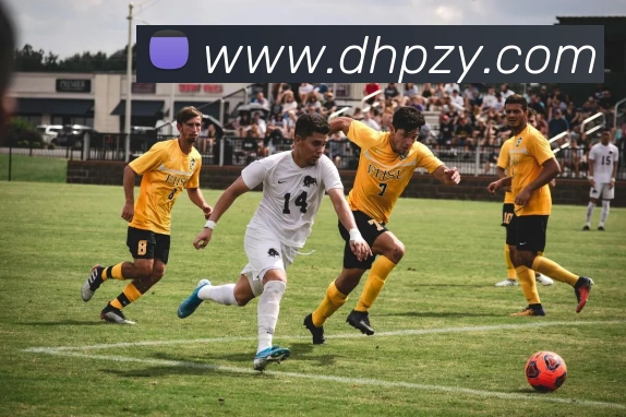 数据防护可视化